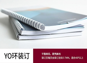 如何利用膠印技術(shù)的發(fā)展趨勢(shì)提升企業(yè)的競(jìng)爭(zhēng)力？